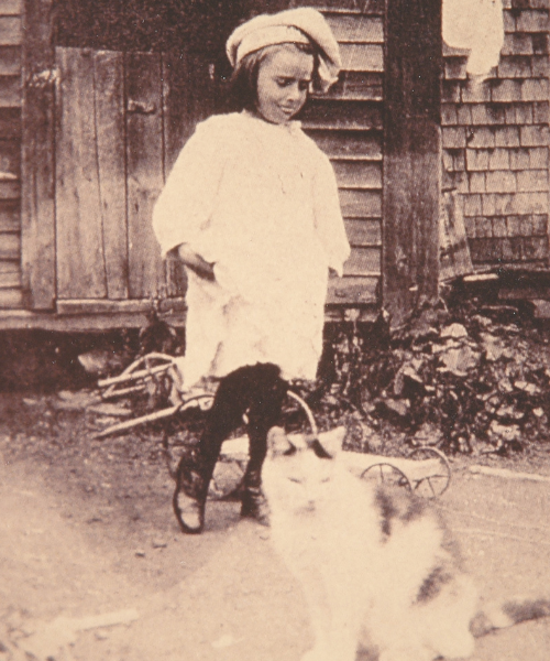 small child with cat