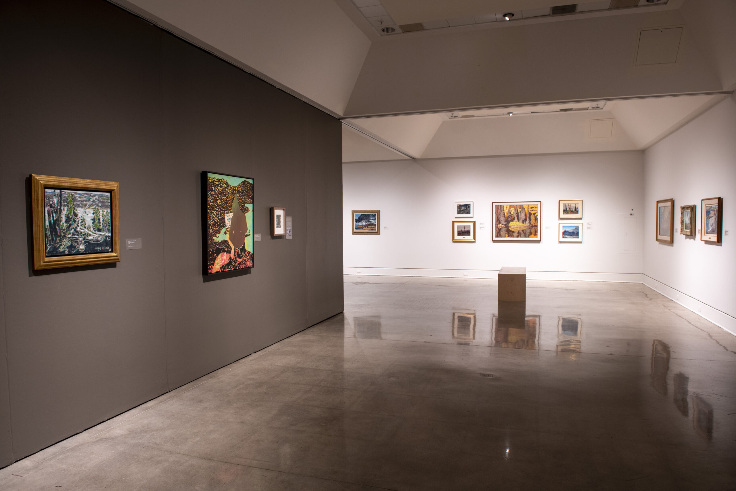 Installation view of Generations: The Sobey Family & Canadian Art.